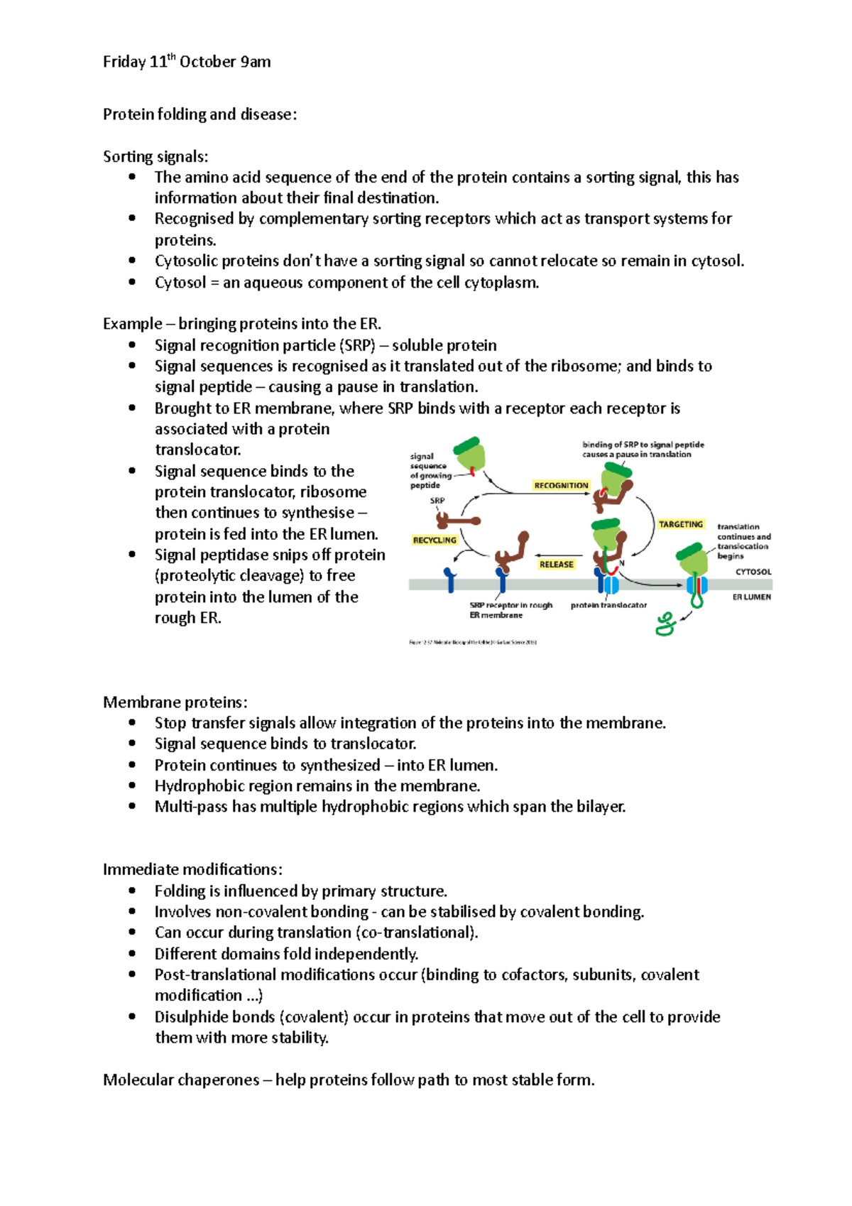 Cell and Molecular biology L11 - Protein folding and disease: Sorting
