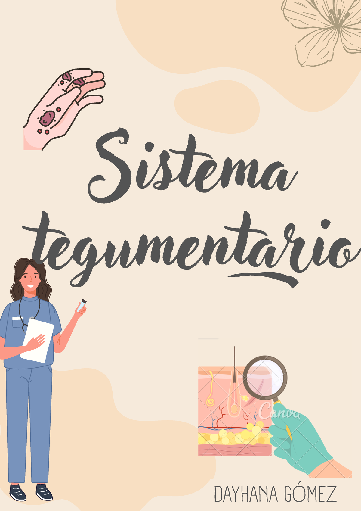 Apuntes Sistema Tegumentario - Sistema Tegumentario DAYHANA ...