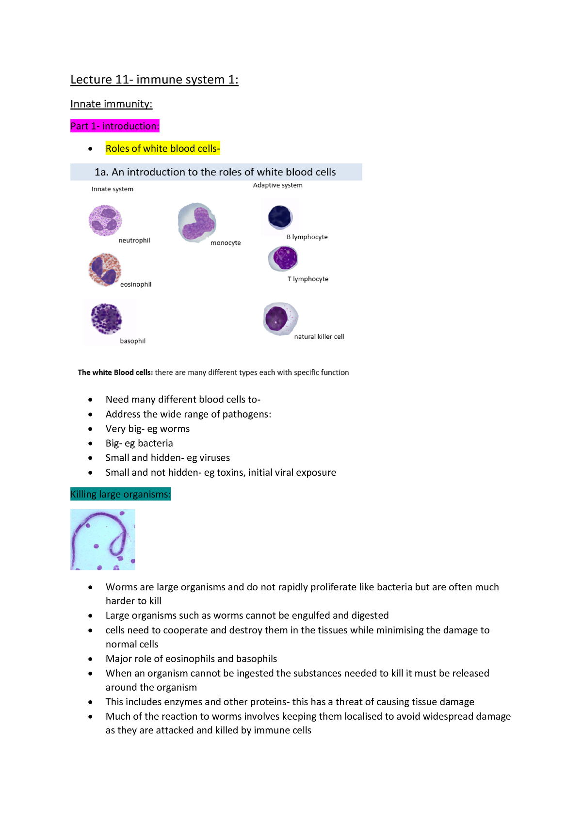 Haematology lecutre 11 - Lecture 11- immune system 1: Innate immunity ...