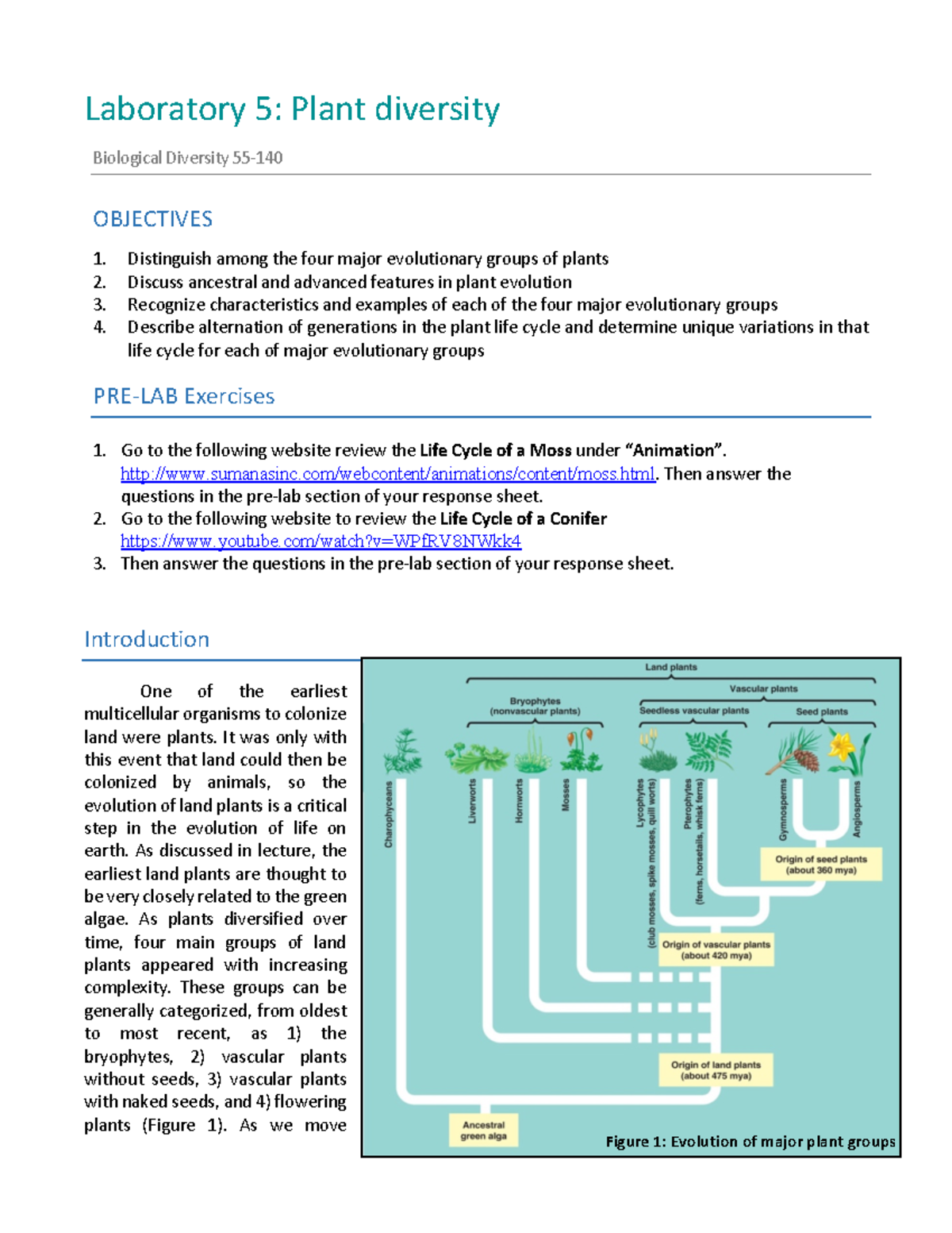 thesis on plant diversity