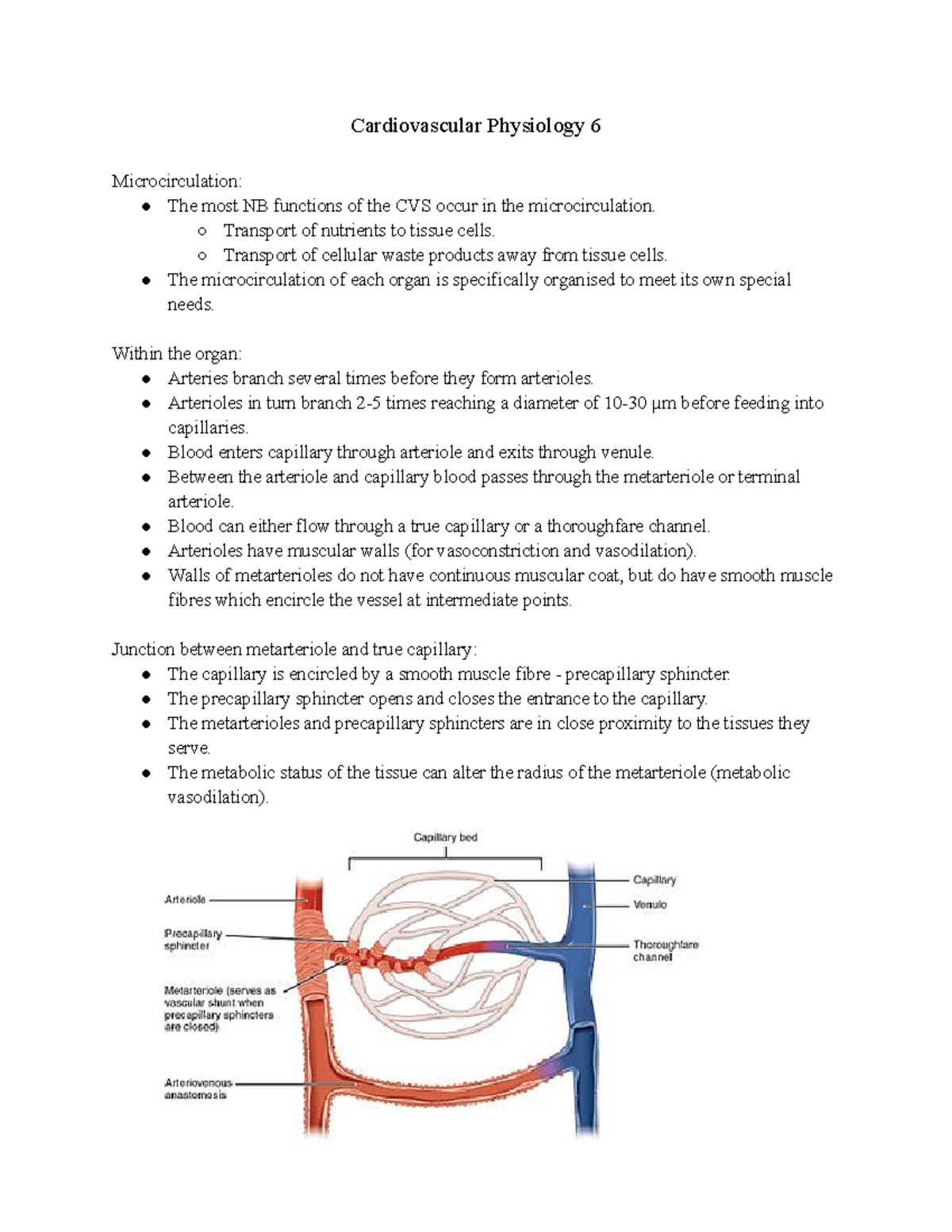 Cardiovascular Physiology 6 - Transport of nutrients to tissue cells ...