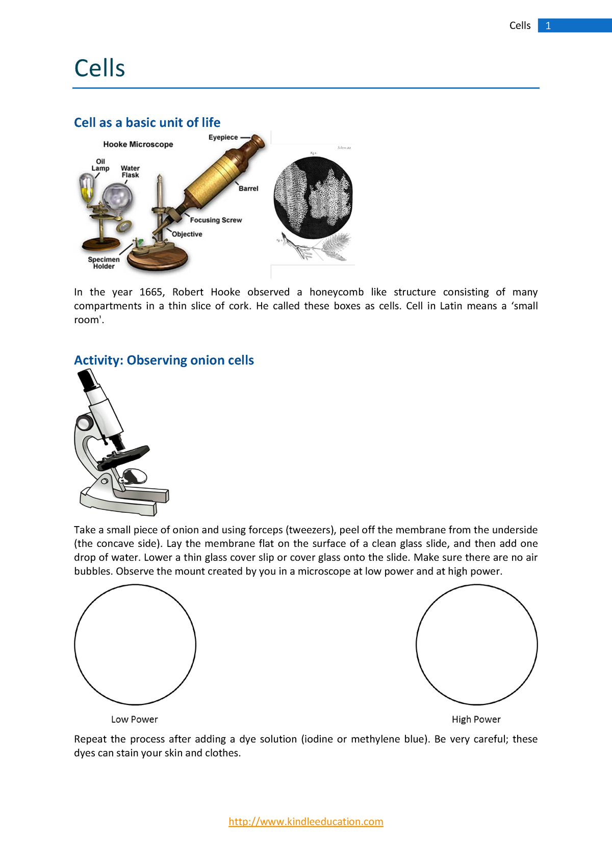 onion cell experiment report pdf