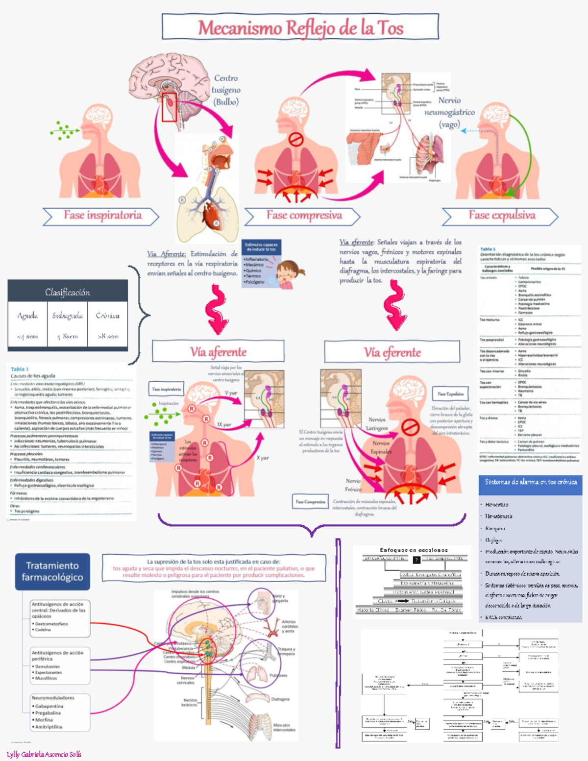 PDF Sobre TOS - medicina - Mecanismo Reflejo de la Tos Centro tusígeno ...
