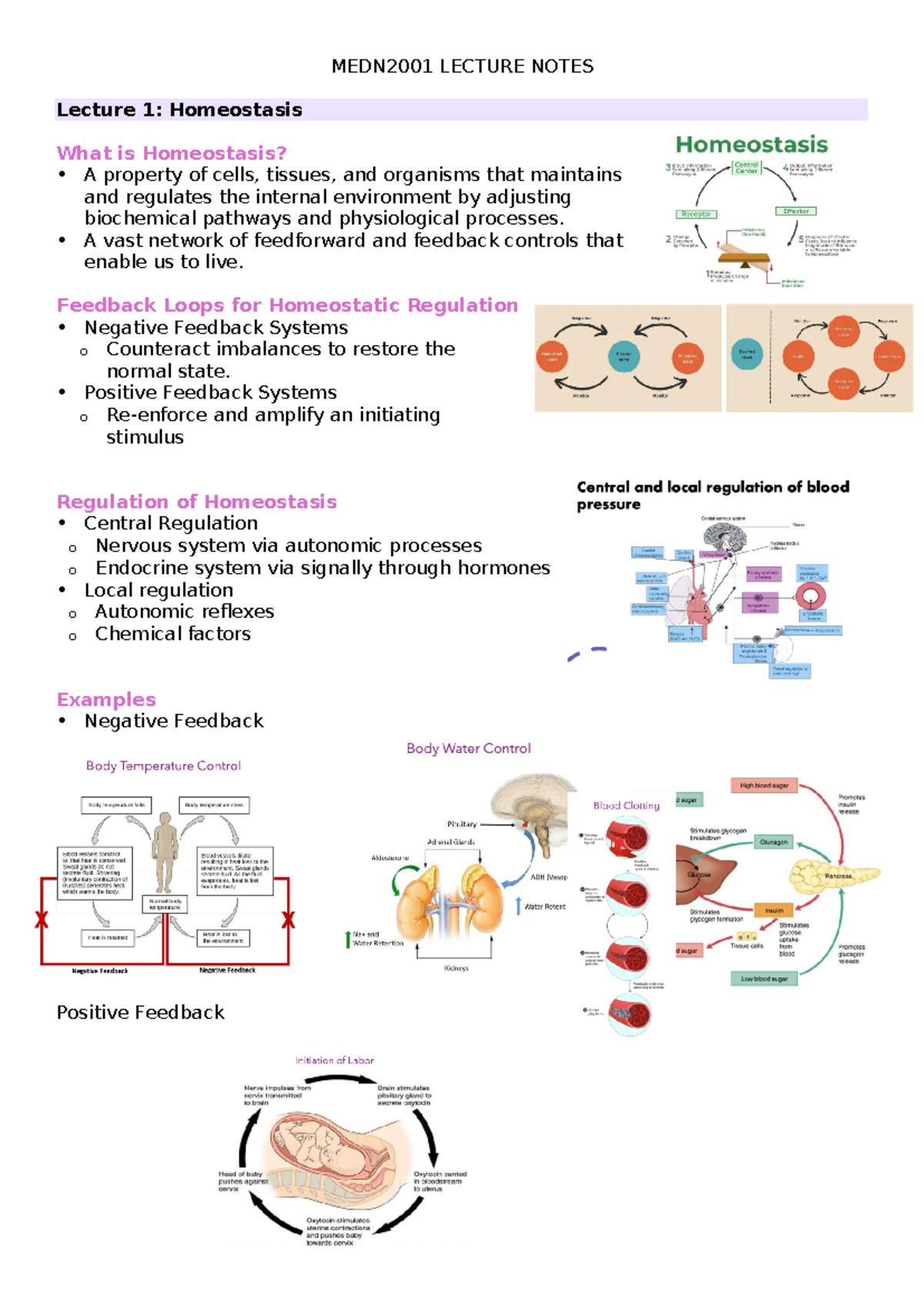 MEDN2001 Lecture Notes - MEDN2001 LECTURE NOTES Lecture 1: Homeostasis ...