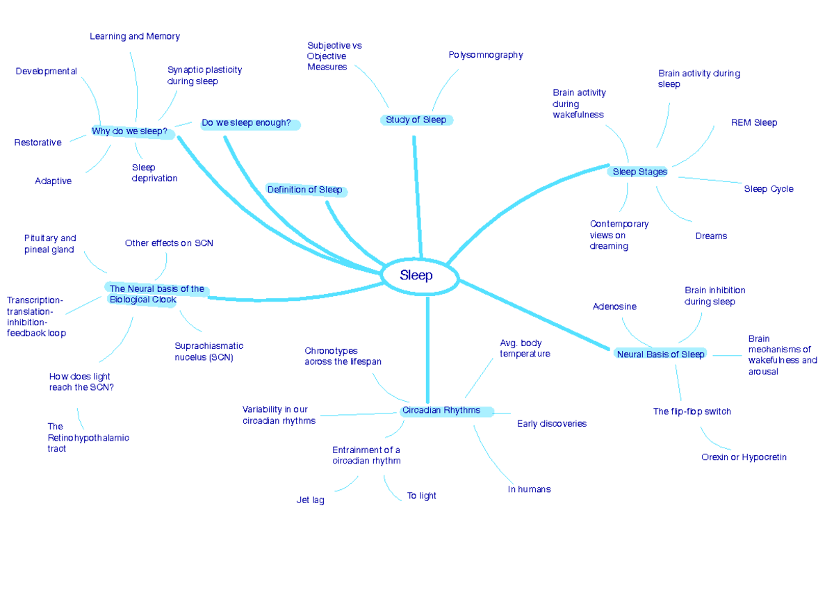 sleep-lecture-notes-week-8-sleep-definition-of-sleep-study-of-sleep