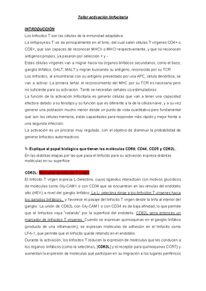 CARA - resumen de cara - 19. CRÁNEO La línea de Poirier separa la ...