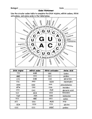 kami-export-aaliyah-washington-codon-worksheet-2-biologist-date-studocu