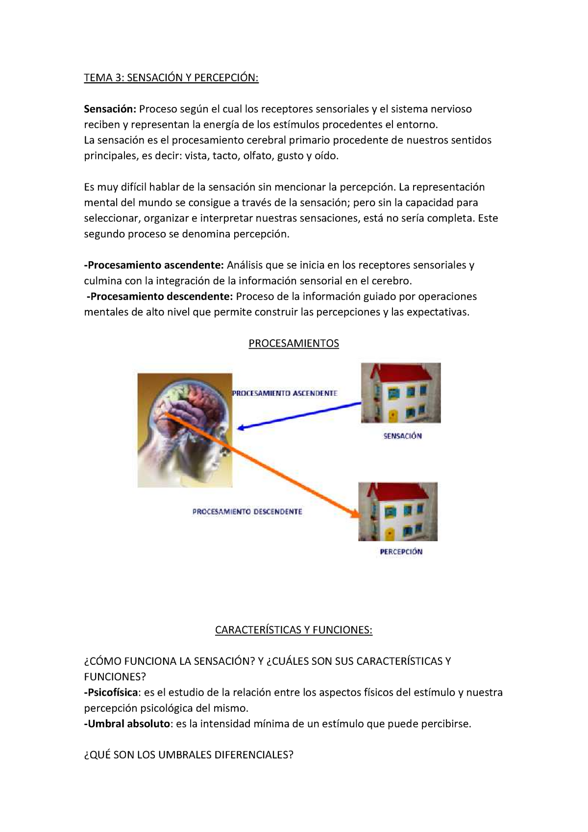 Psicología tema 3 - TEMA 3: SENSACIÓN Y PERCEPCIÓN: Sensación: Proceso  según el cual los receptores - Studocu