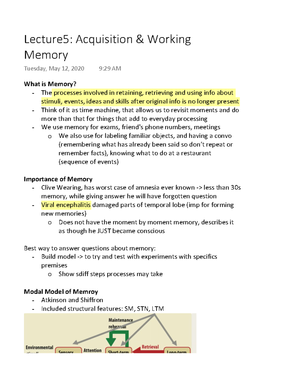 Lecture 5 Acquisition & Working Memory - Warning: TT: undefined ...