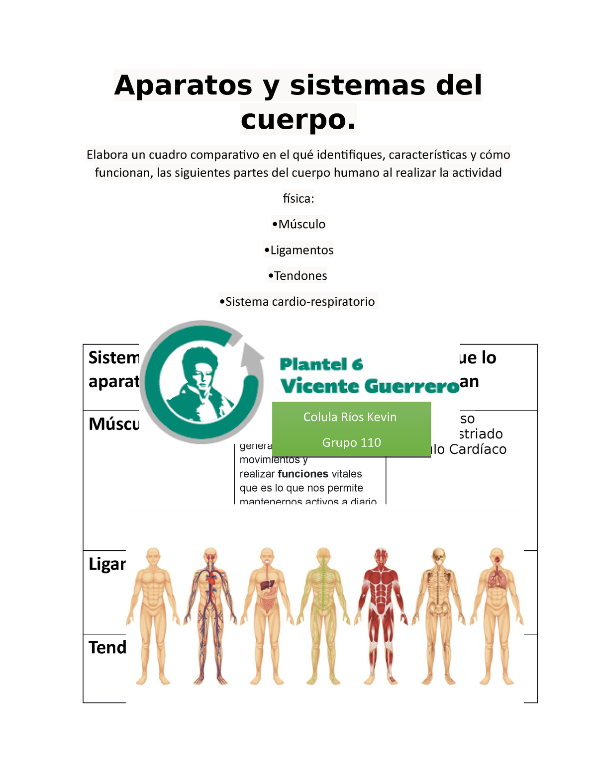 Aparatos Y Sistemas Del Cuerpo - Elabora Un Cuadro Comparativo En El ...