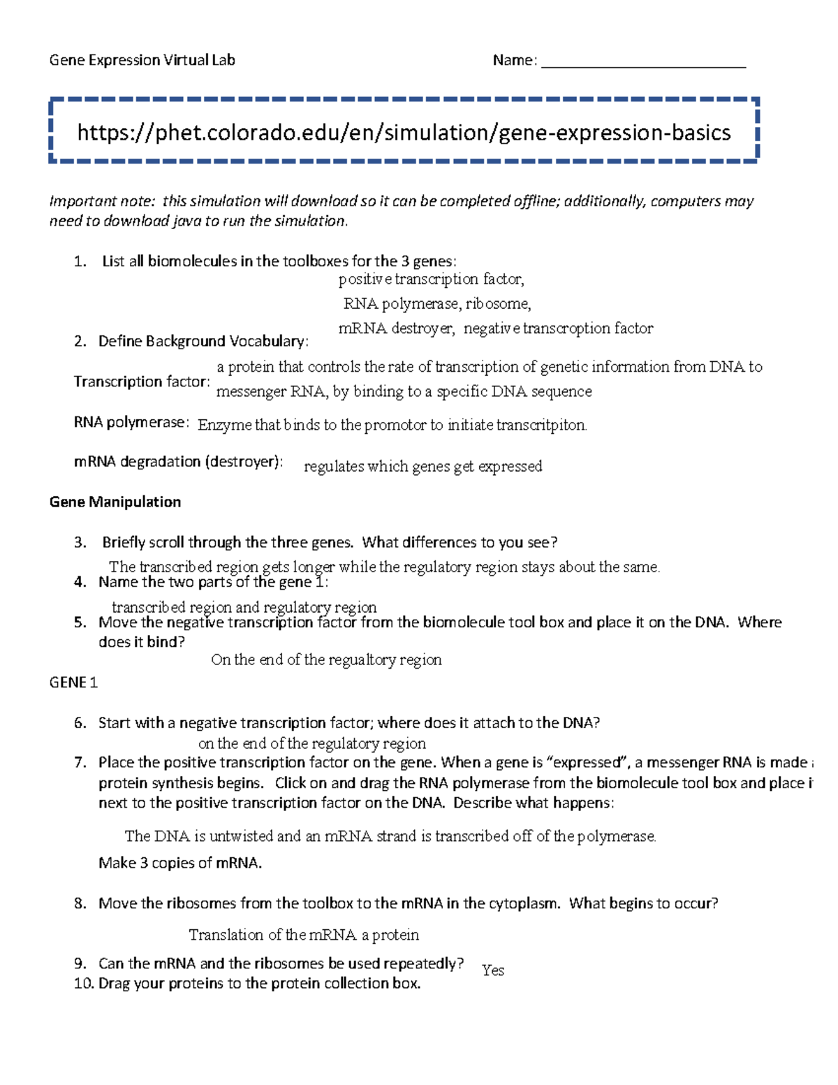 6.5 Gene Regulation Virtual Lab Gene Expression Virtual Lab Name