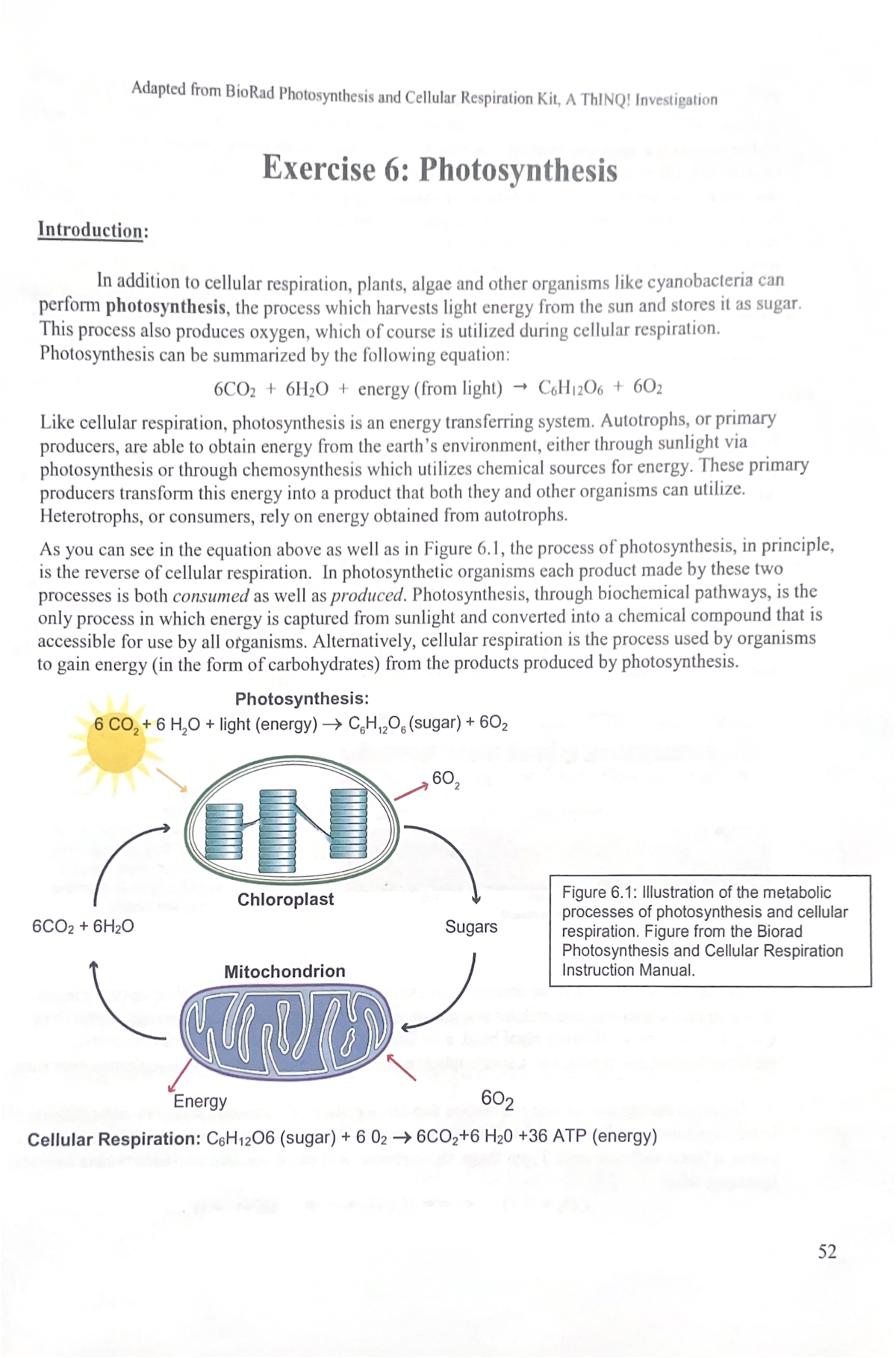 Exercise 6 Photosynthesis Lab BSC2010 L - Adapted From BioRad ...