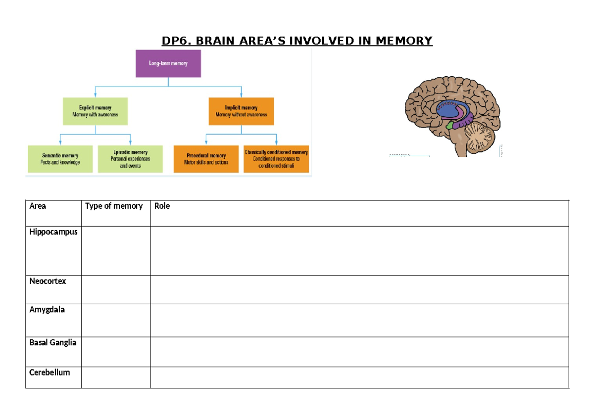 6. Brain Area's Poster-2 - DP6. BRAIN AREA’S INVOLVED IN MEMORY Area ...