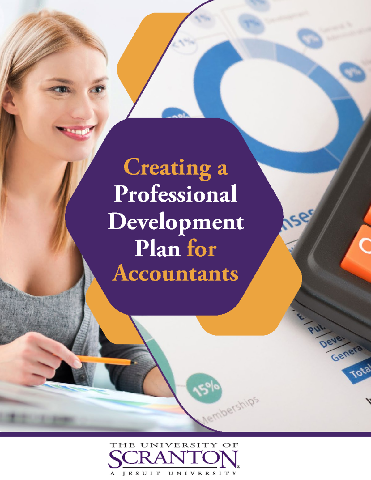 SCR Creating-a-Professional-Development-Plan-for-Accountants-Non-Lead ...