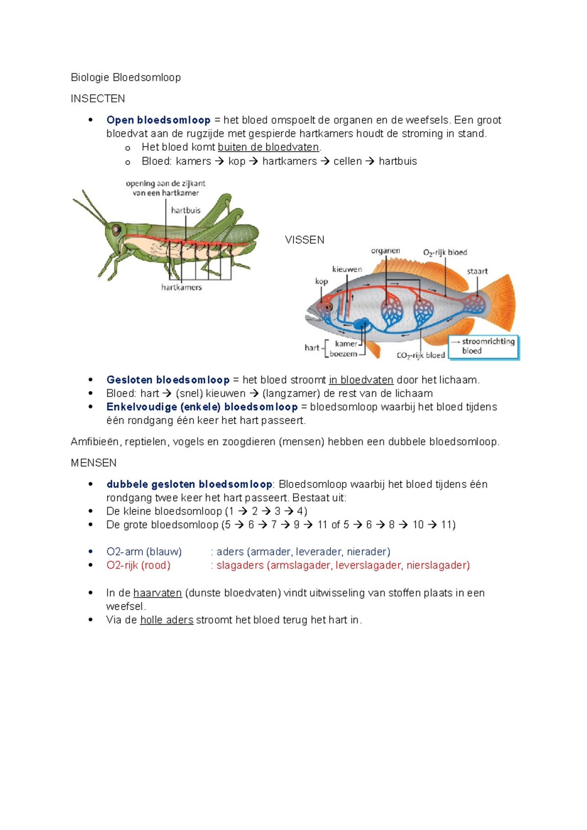 Biologie Bloedsomloop Samenvatting - Biologie Bloedsomloop INSECTEN ...