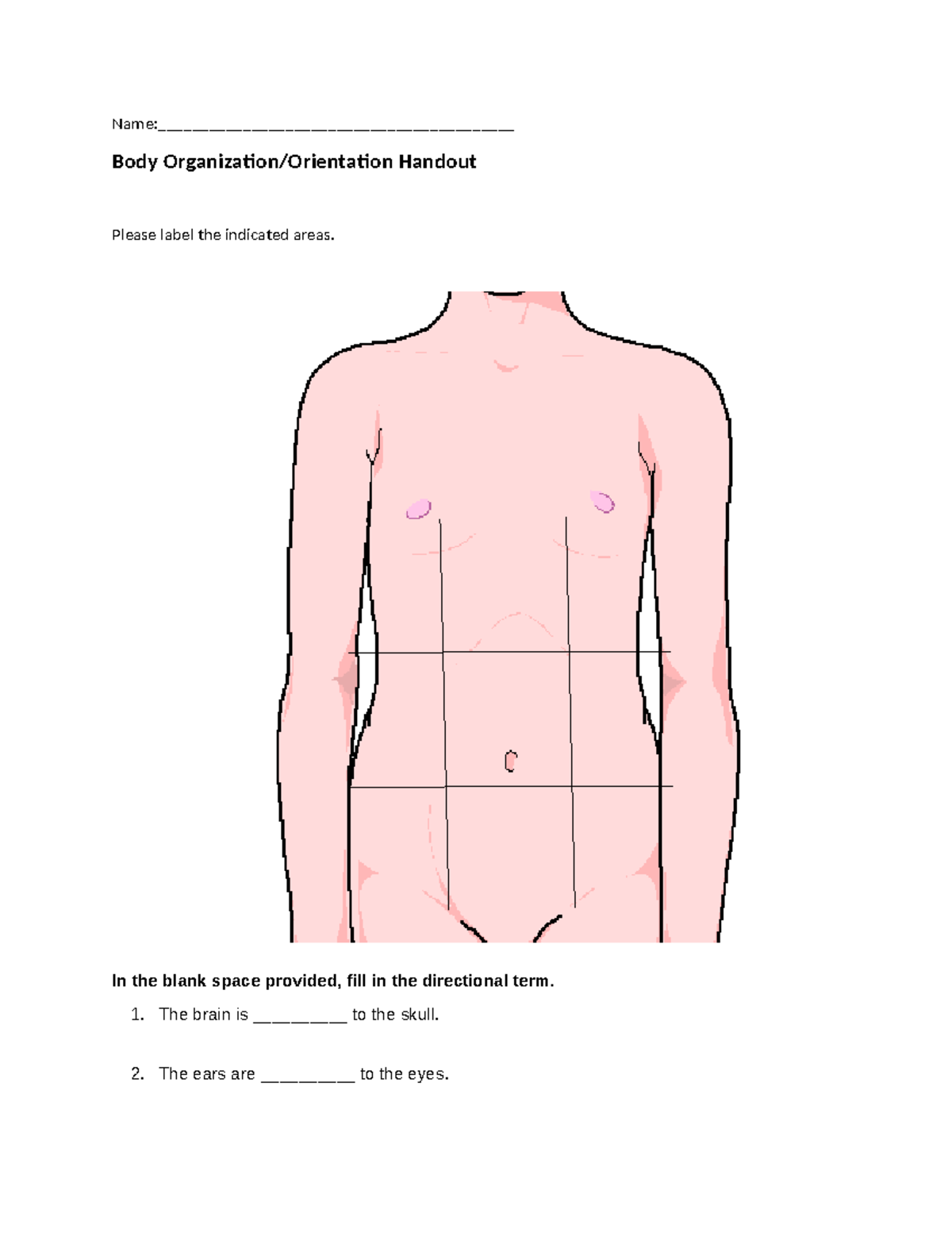 Body Organization & Orientation handout - Name