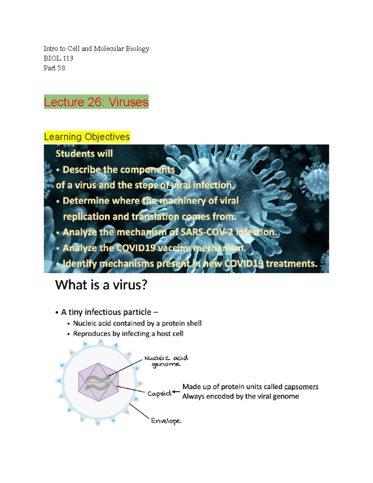 Intro to Cell and Molecular Bio 113 Lecture Notes Part 58 - Dr. Sarah ...