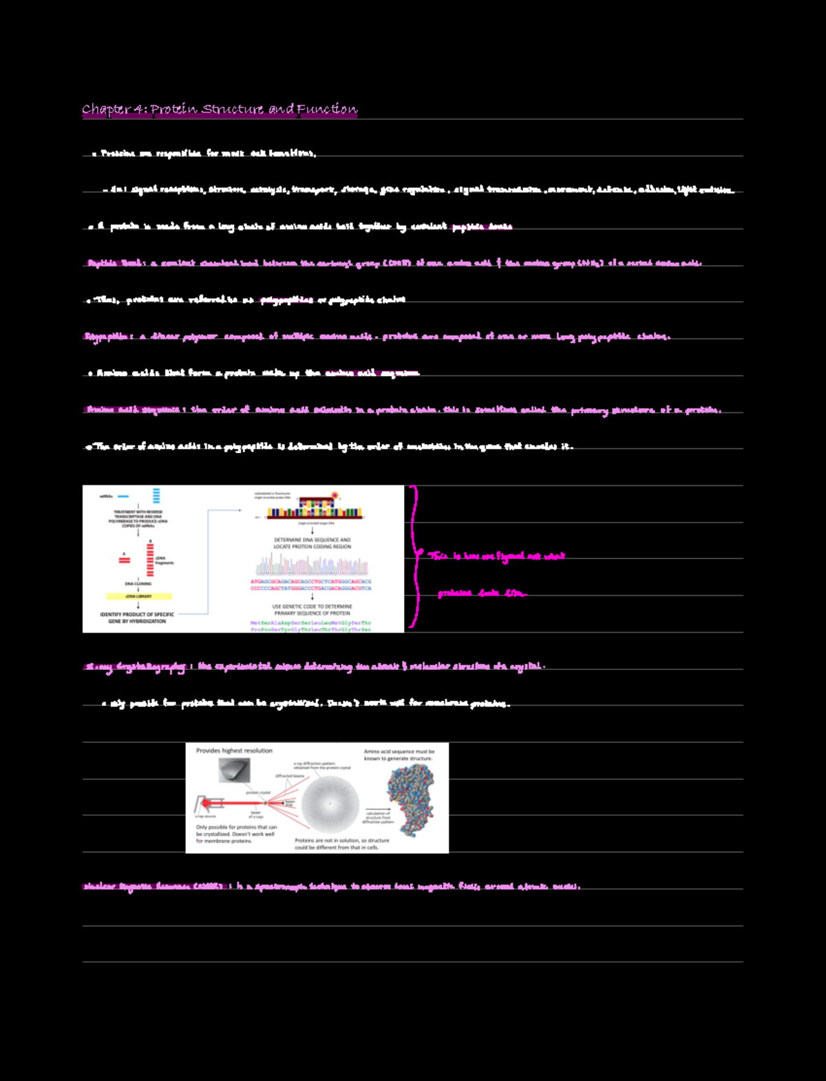 Chapter 4 Notes - bio - Chapter 4: Protein Structure and Function ...