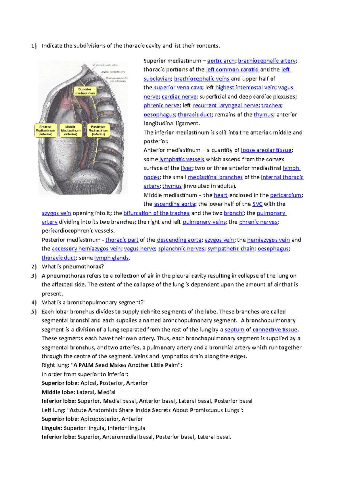 Seminar assignments - Anatomy of the thoracic cavity and lungs SPL - 1 ...