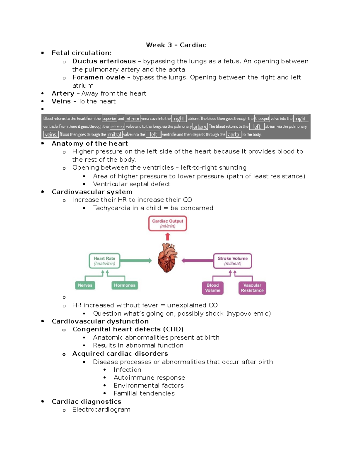 Assessment 3 Study Guide - Cardio - Week 3 – Cardiac Fetal circulation ...