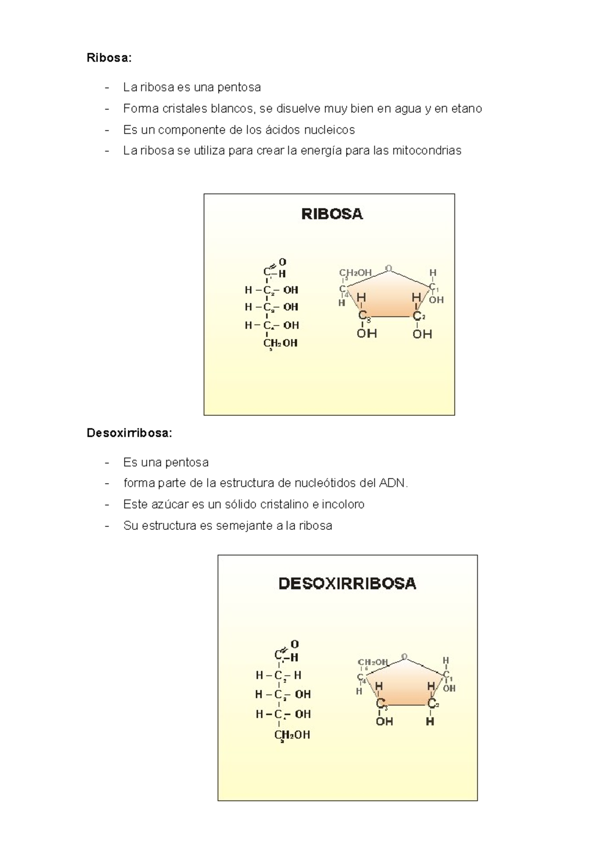 Ribosa Y Desoxirribosa - Literatura - Ribosa: - La ribosa es una ...