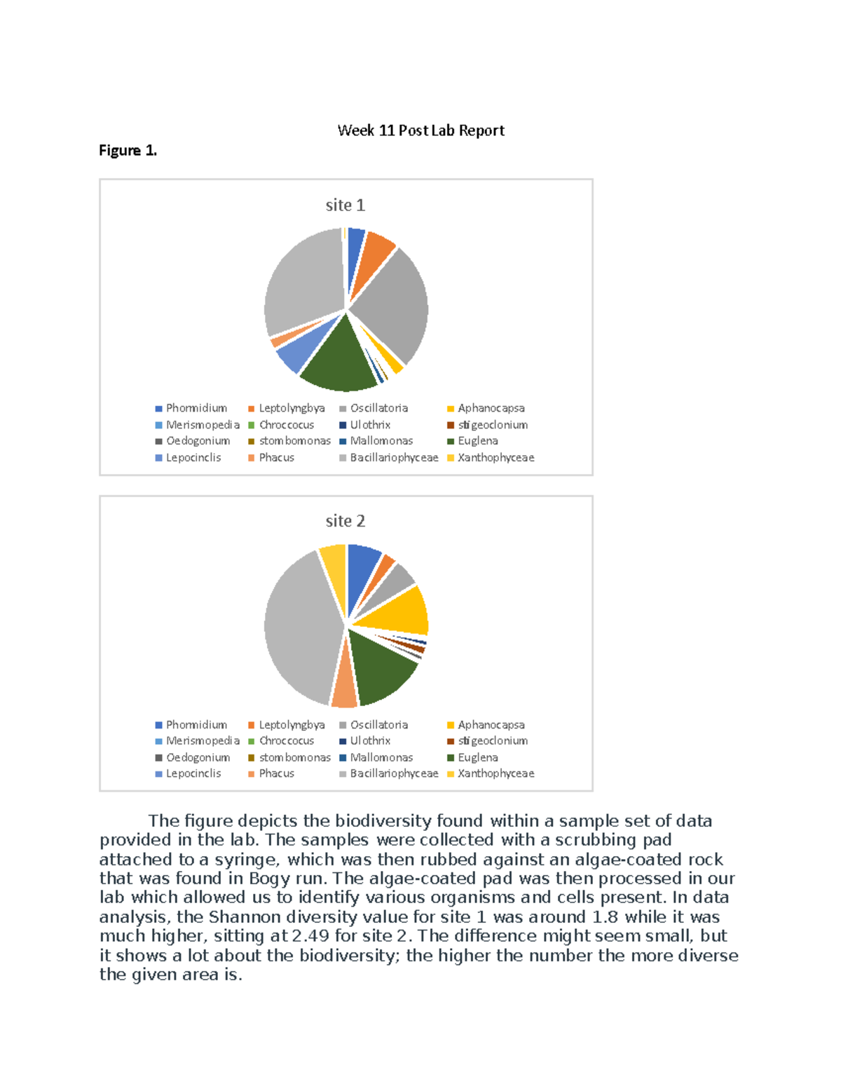 Week 11 bio post lab post lab answers Week 11 Post Lab Report