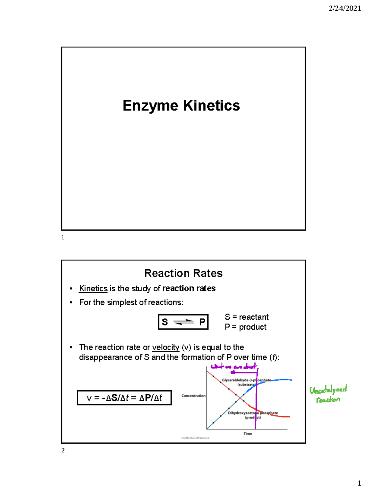 Chapter 8 Lecture notes Enzyme Biochem 4511