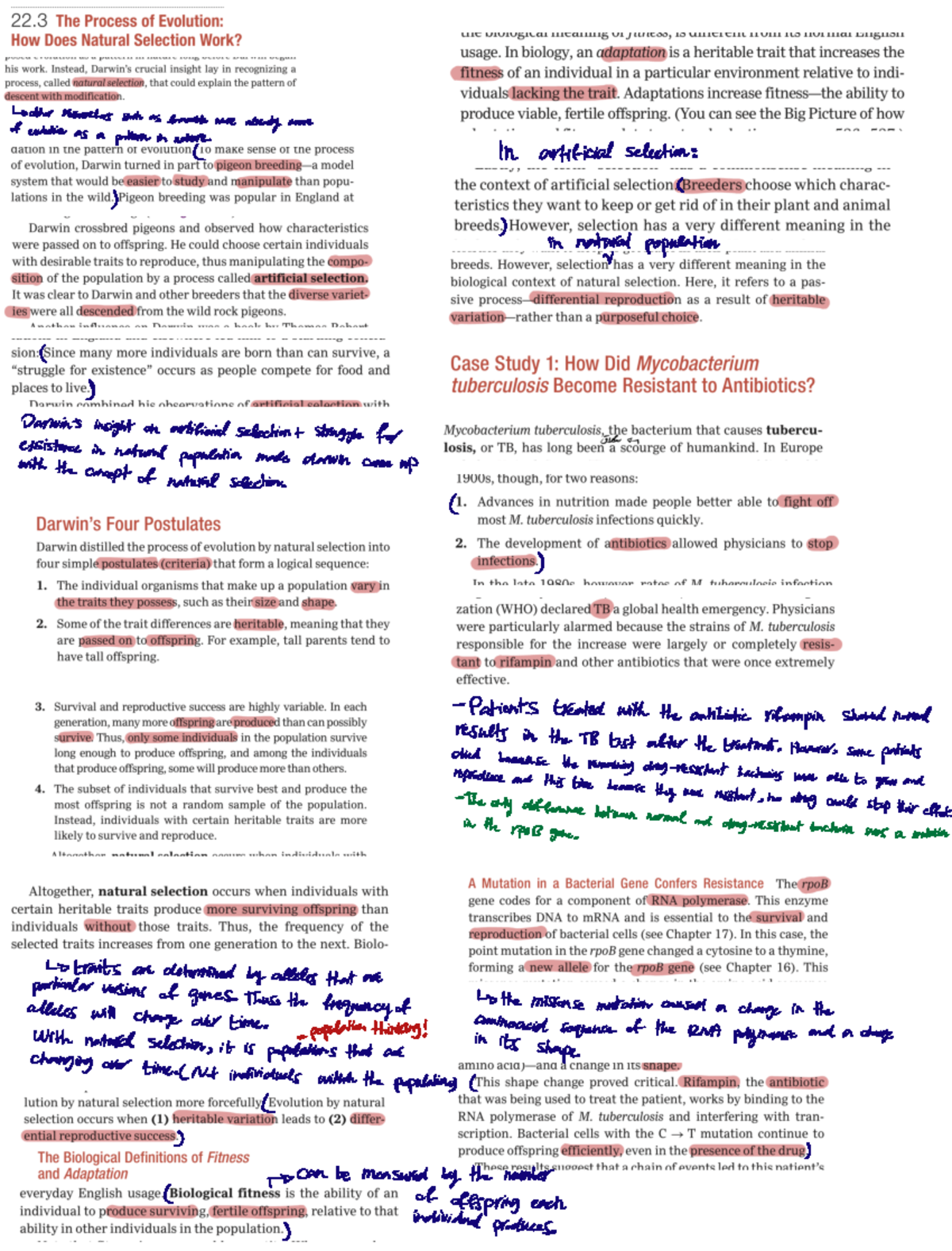 Module 4 BIOL1001 - lecture notes - otherresearcherssuch evolution ...