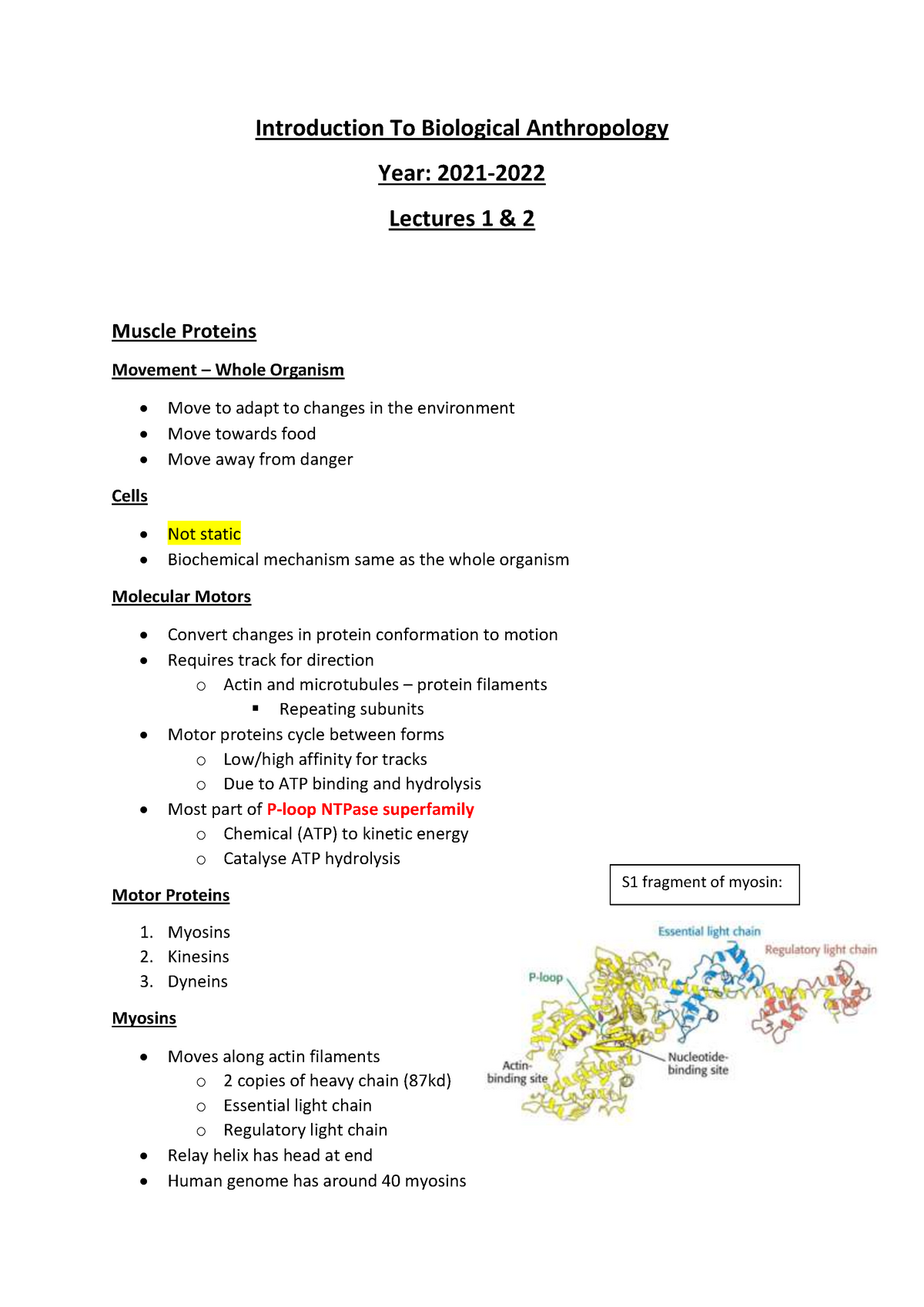 essay topics biological anthropology