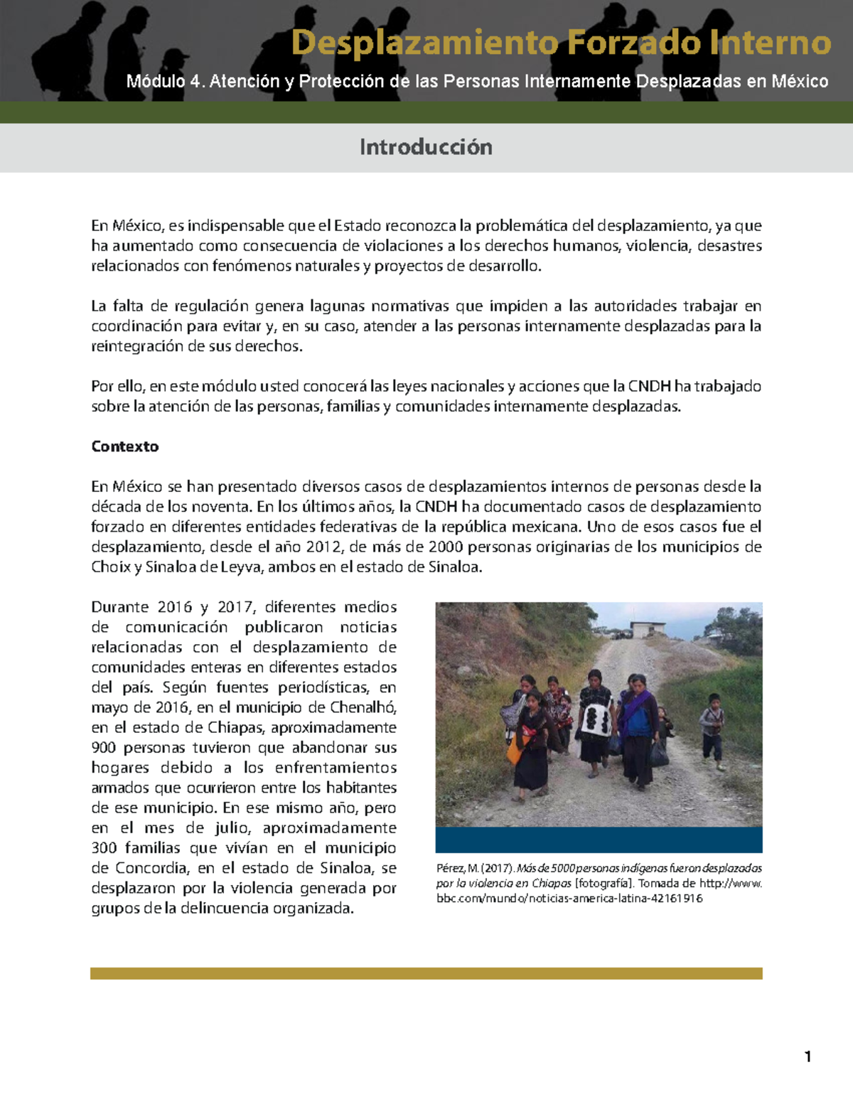 DERECHOS HUMANOS - Desplazamiento Forzado Interno Módulo 4. Atención y ...