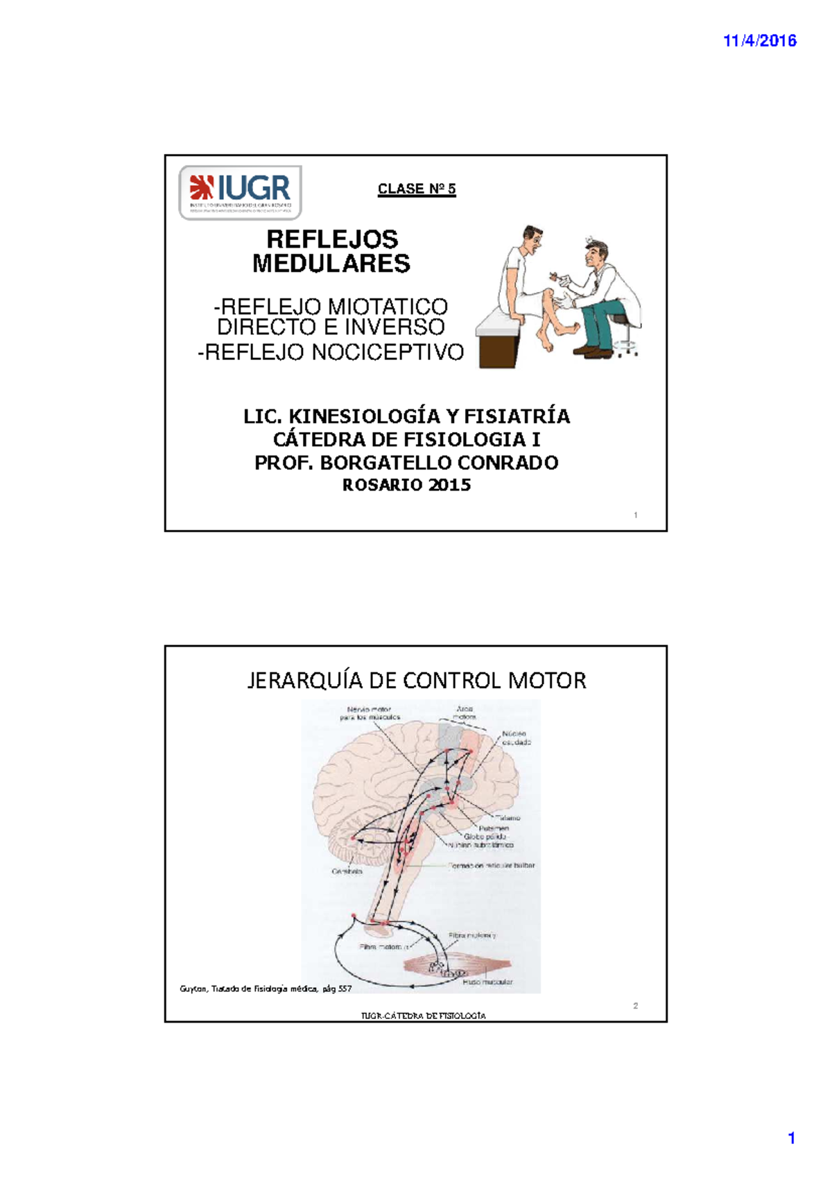 Clase 5 Reflejos Medulares [Modo De Compatibilidad] - 1 LIC ...