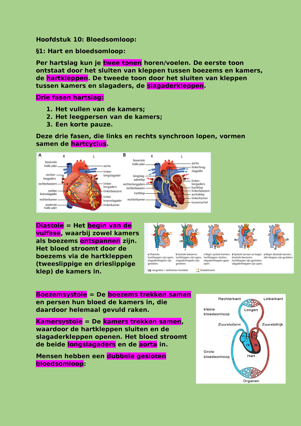 H10 Bloedsomploop Sv - Sv Bloedsomloop Bio - Hoofdstuk 10: Bloedsomloop ...