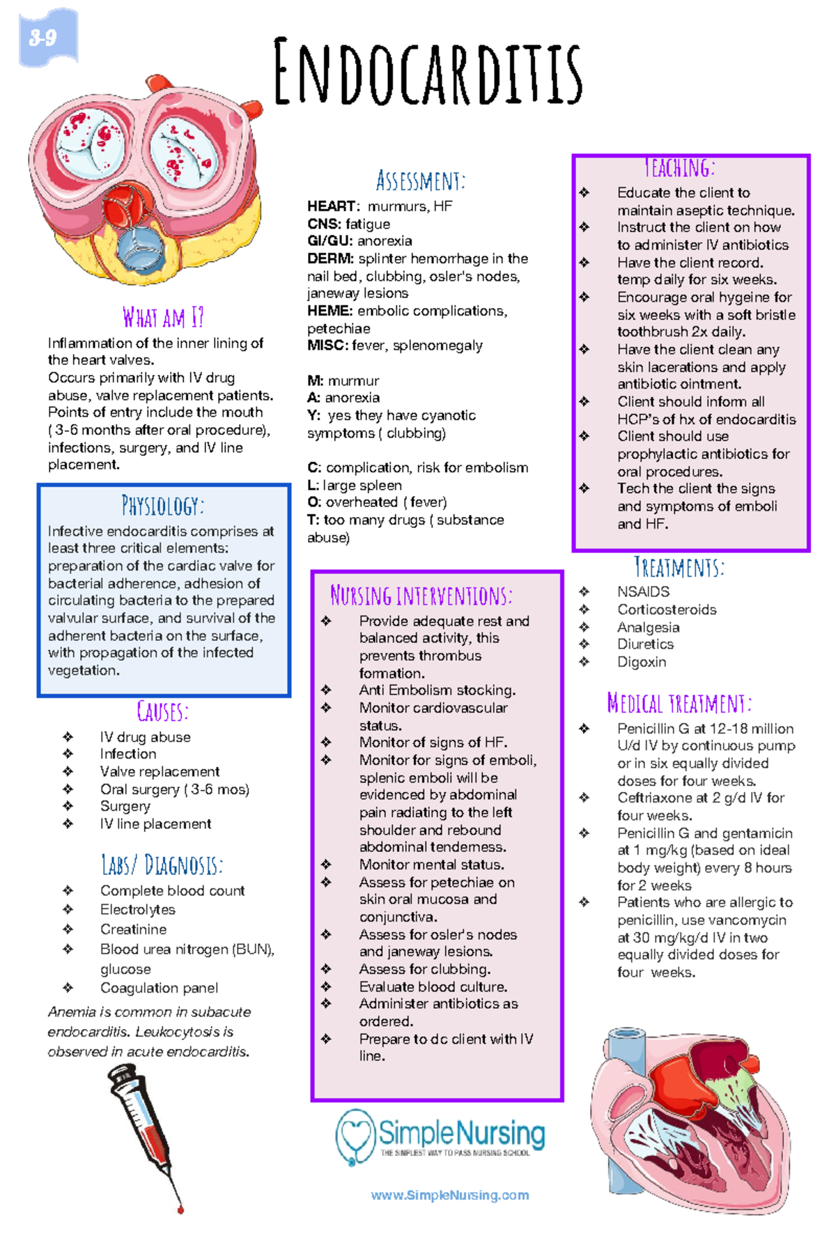 endocarditis-study-material-teaching-educate-the-client-to