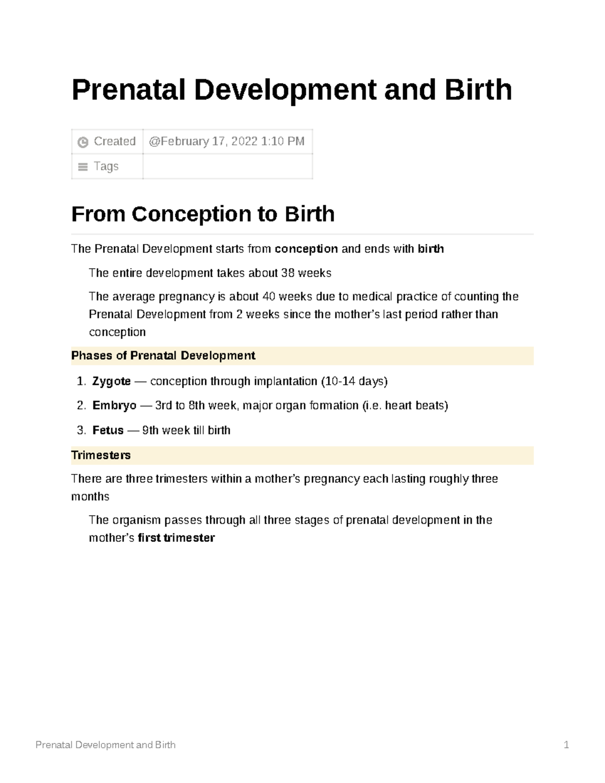Prenatal Development and Birth - Prenatal Development and Birth Created ...
