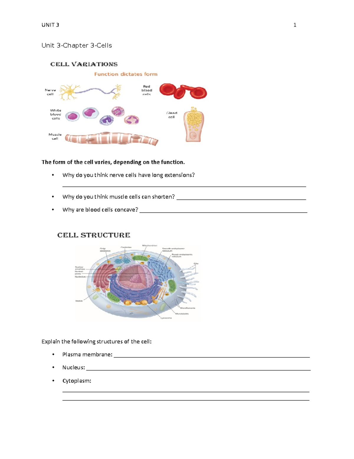 Unit+3-Cells+Notes - Cells - Unit 3-Chapter 3-Cells The form of the ...