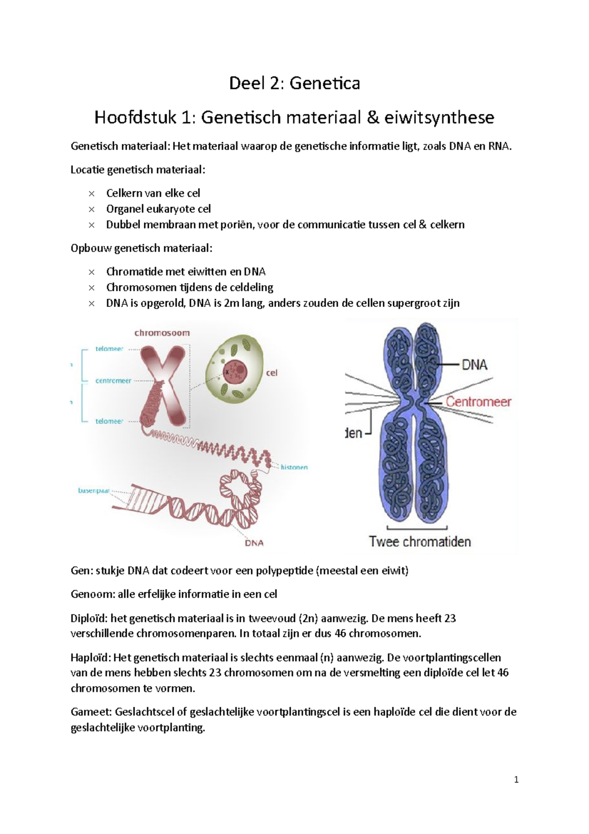 Samenvatting Juni 2019 - Deel 2: Genetica Hoofdstuk 1: Genetisch ...