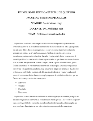 Api.651 Protección Catódica - By Authority Of THE UNITED STATES OF ...