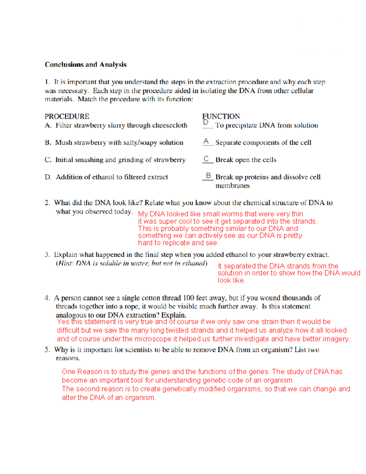 DNA Extraction Lab Report 3 - My DNA looked like small worms that were ...
