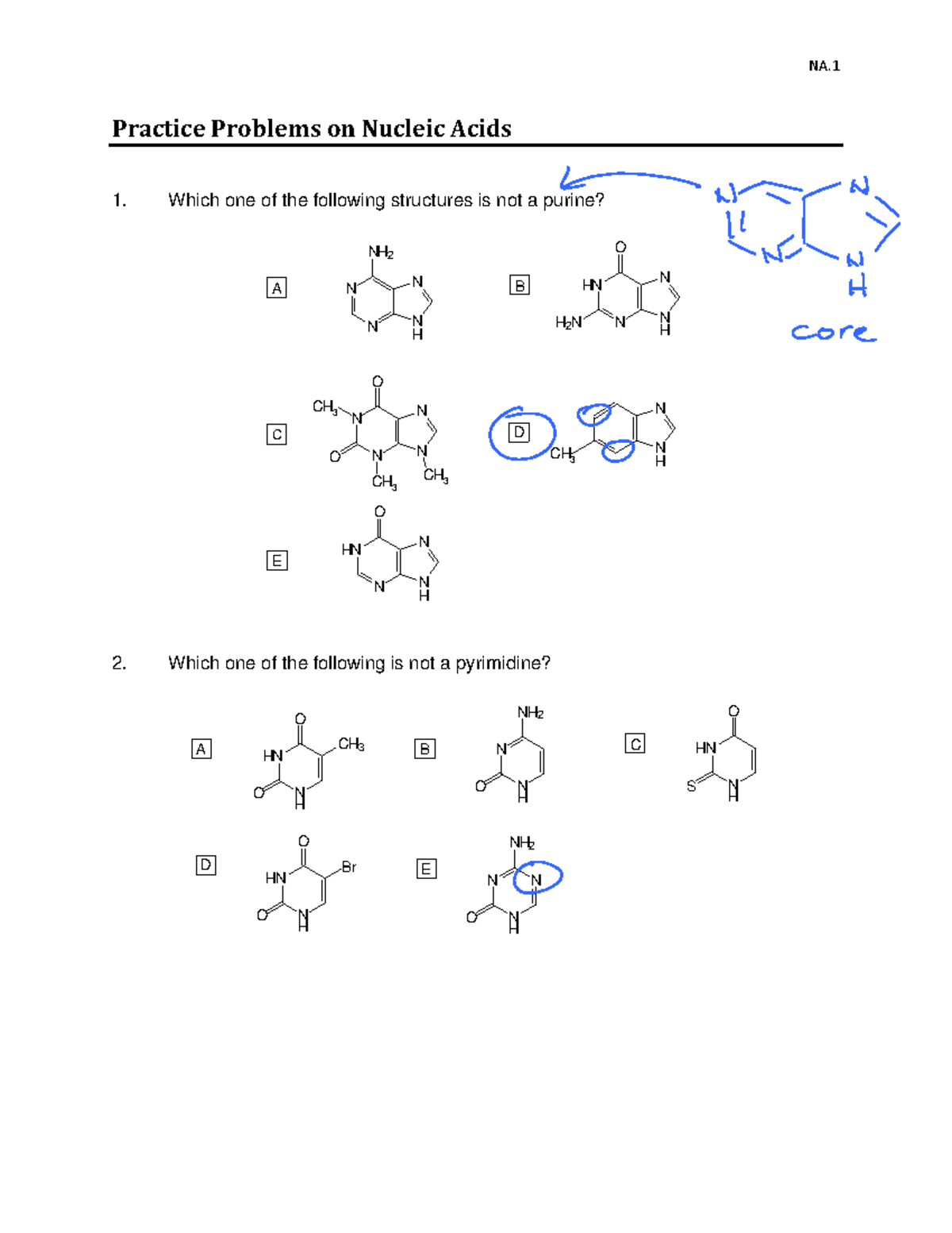 Nucleic acids Practice Problems on Nucleic Acids Which one of the