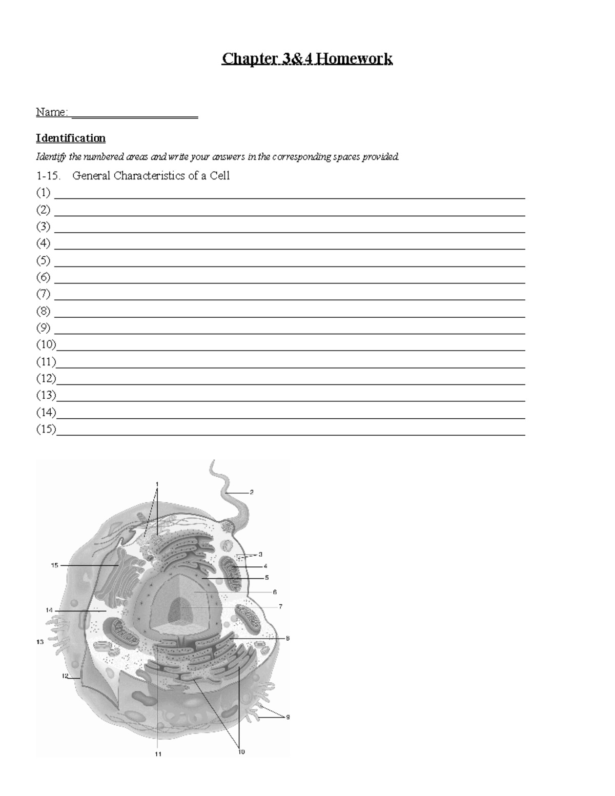 Chapter 34 - practice - Chapter 3&4 Homework Name ...