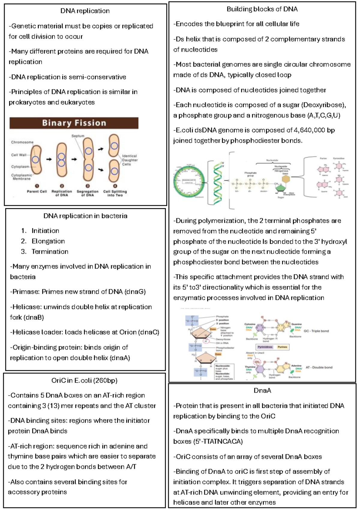 M7 - Lecture notes - DNA replication Genetic material must be copies or ...