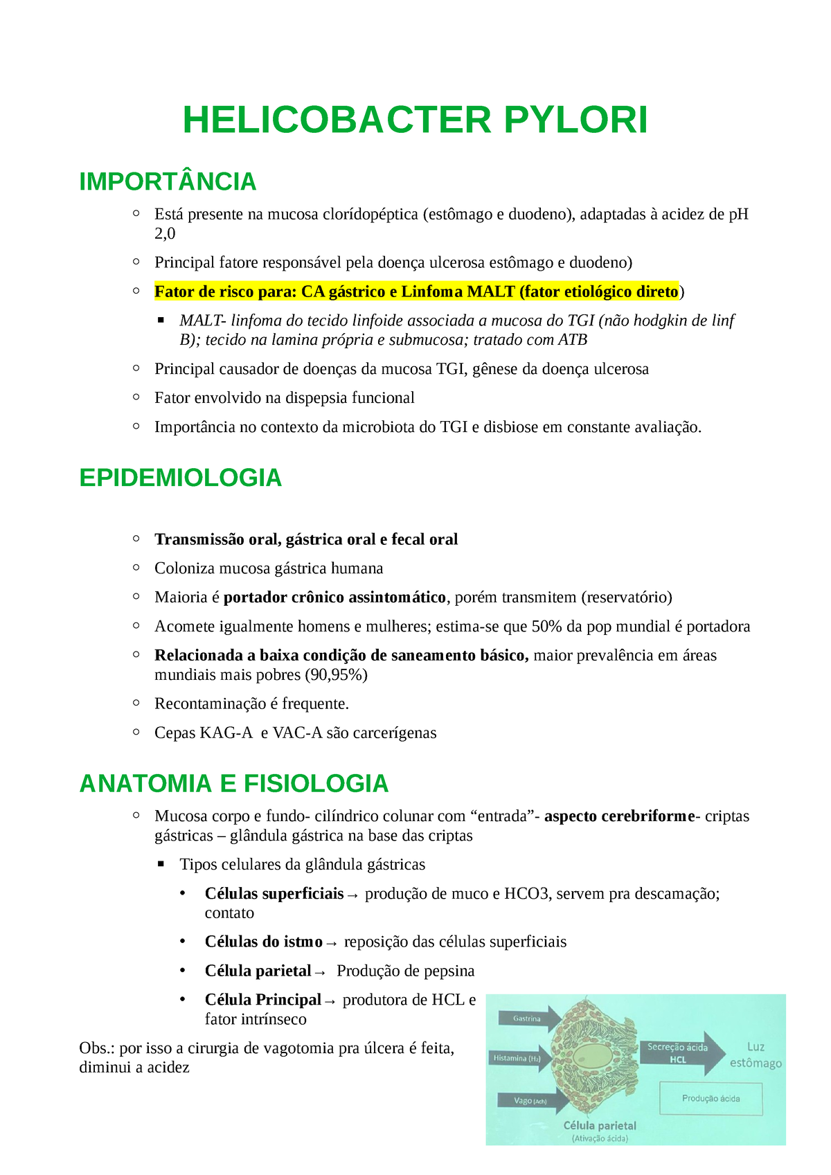 H Pylori Resumo Helicobacter Pylori Import Ncia Est Presente Na