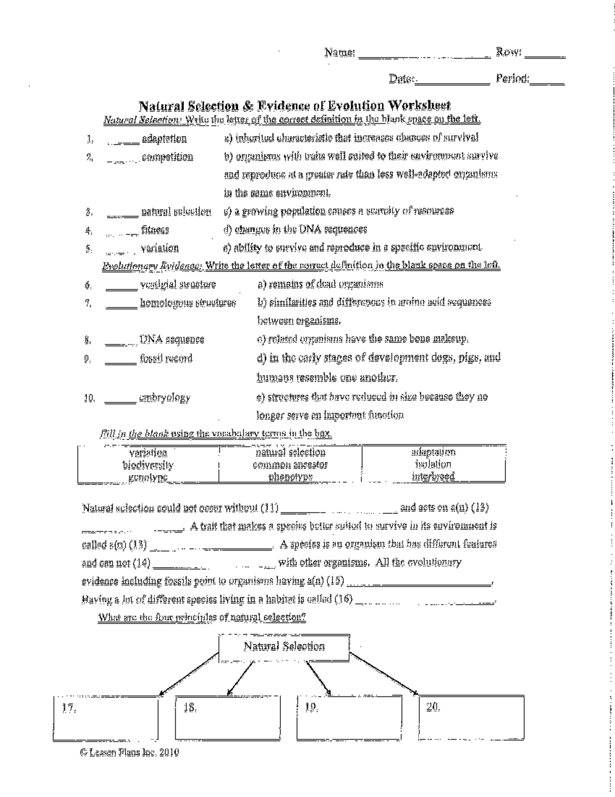 Natural Selection and Evidence of Evolution WS - BSC 110 - Studocu
