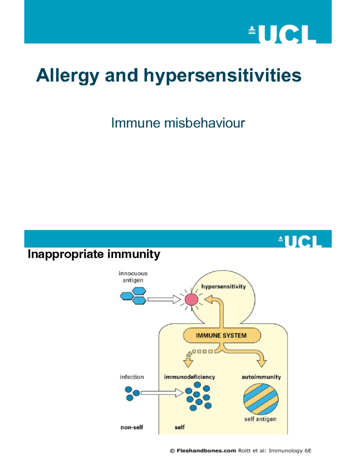 Kvue Allergies 20 - utnh3e7