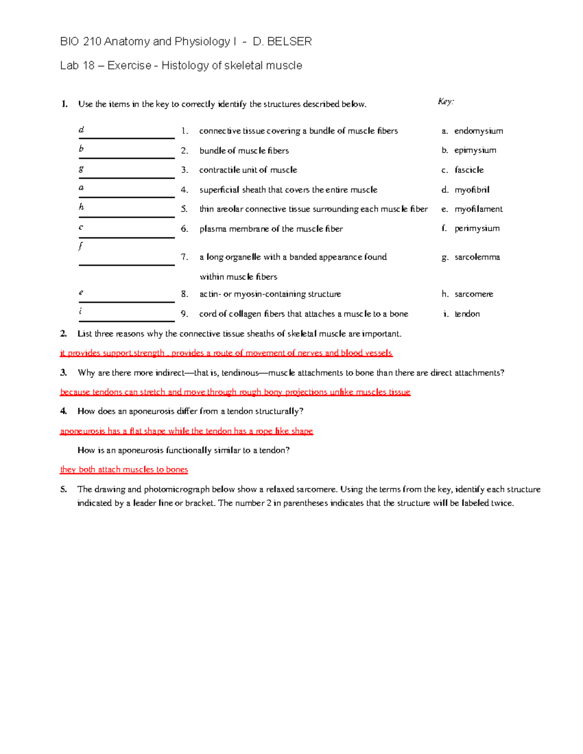 10 BIO 210 Lab 18 Exercise - BIO 210 Anatomy and Physiology I - D ...