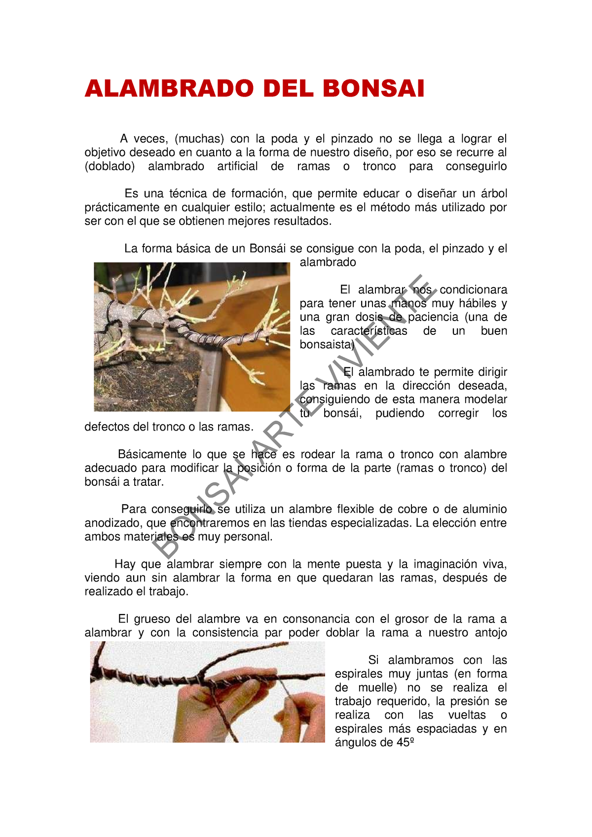 Rafia y alambre de cobre utilizado en el torcimiento de las ramas en las  primeras etapas del diseño y desarrollo de un bonsai de un pino escocés  recopilados Fotografía de stock 