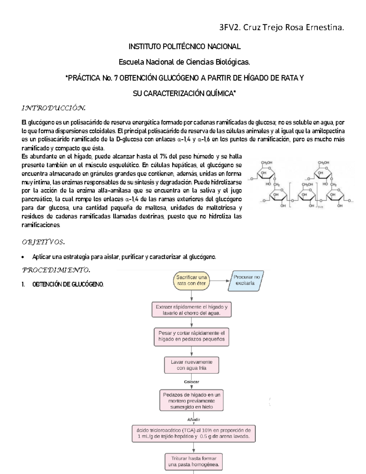 Bitacora Obtencion Glucogeno Studocu