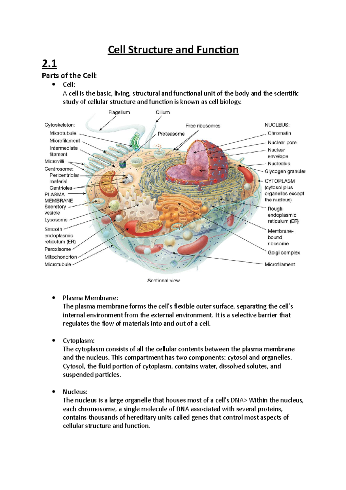 Cell Structure and Function - Cell Structure and Function 2 Parts of ...