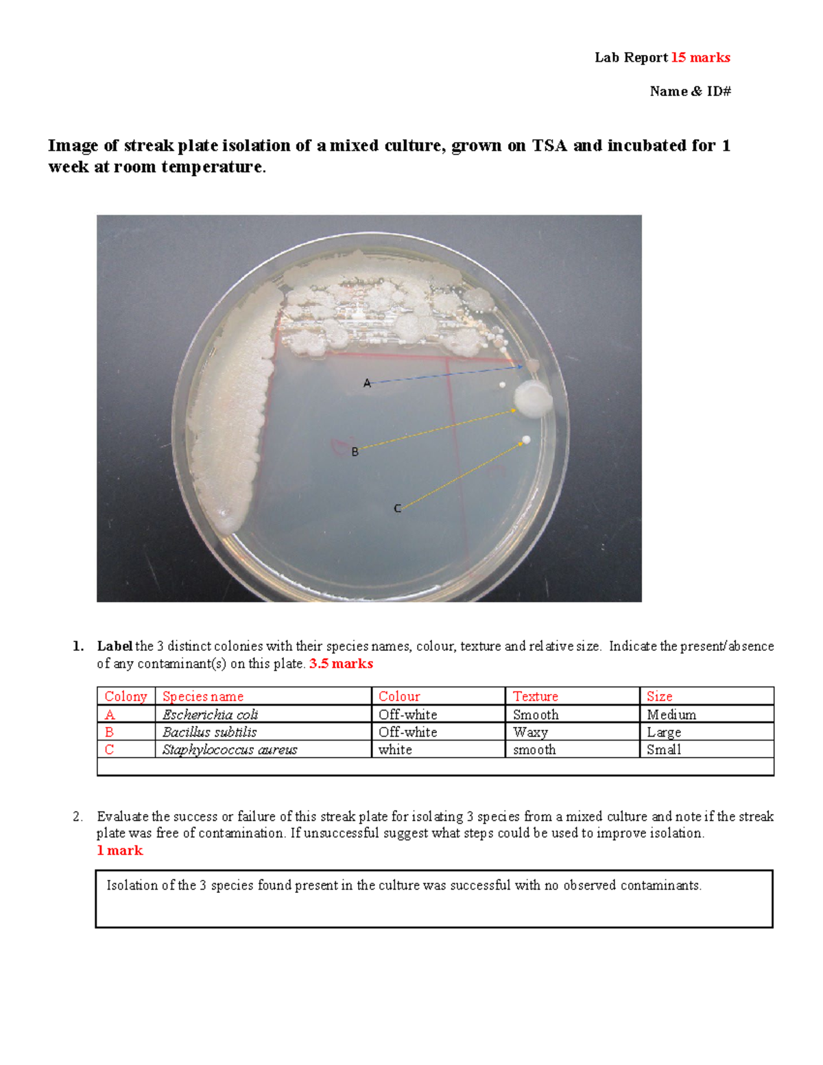MICR2420 Lab Report 1 Lab Report 15 marks Name & ID Image of streak