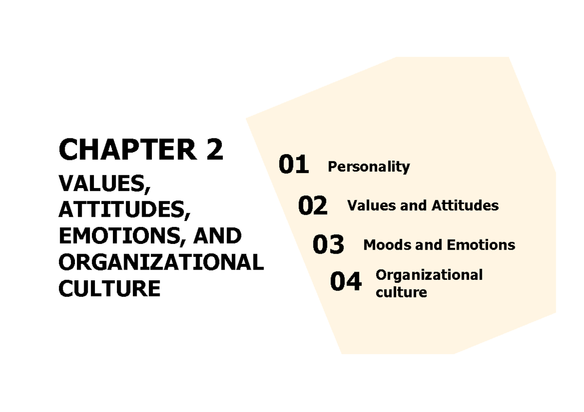 Chapter 2 - adadacscz - CHAPTER 2 VALUES, ATTITUDES, EMOTIONS, AND ...